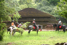 Sri Lanka-Sri Lanka-Best of Sri Lanka on Horseback
